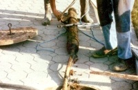 2.1.3. Erdverdrängen TU 135 wird aus engem Schacht herausgenommen 2.1.3. Erdverdrängen TU 135 wird aus engem Schacht herausgenommen