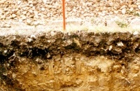 2.1.3. Erdverdrängung unter 2 gleisiger Bahnquerung TU 135 kommt zielgenau an 2.1.3. Erdverdrängung unter 2 gleisiger Bahnquerung TU 135 kommt zielgenau an