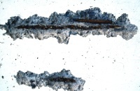 6.2. Einsatzmöglichkeit 12 6.2. Einsatzmöglichkeit 12