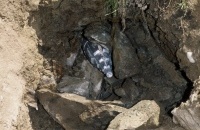 2.1.3. TERRA-Hammer TU 135 S kommt auch im Geröll zielgenau an 2.1.3. TERRA-Hammer TU 135 S kommt auch im Geröll zielgenau an