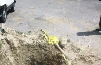 2.1.3. TU 135 arbeitet sich auch durch harte Untergründe zielgenau durch 2.1.3. TU 135 arbeitet sich auch durch harte Untergründe zielgenau durch