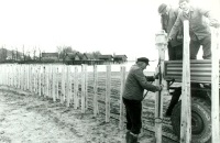 3.1. RK 110 rammt Pfähle im Bodensee vor den Pfahlbauten Unteruhldingen